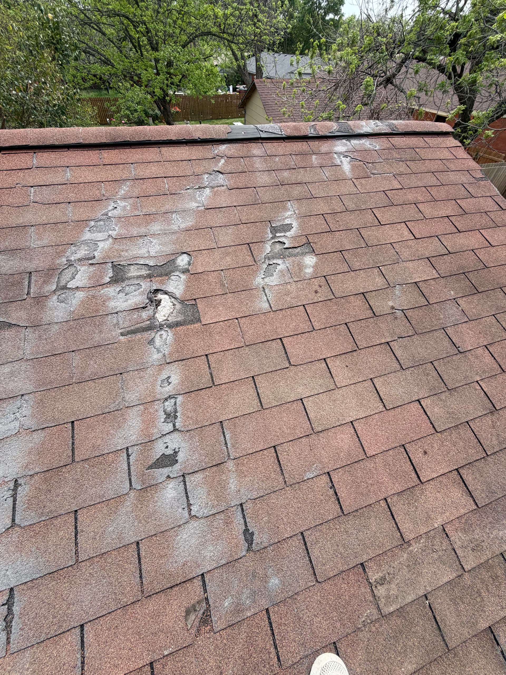 Gallery photos for What a Roof Inspection Actually Finds Up Close: Image #2