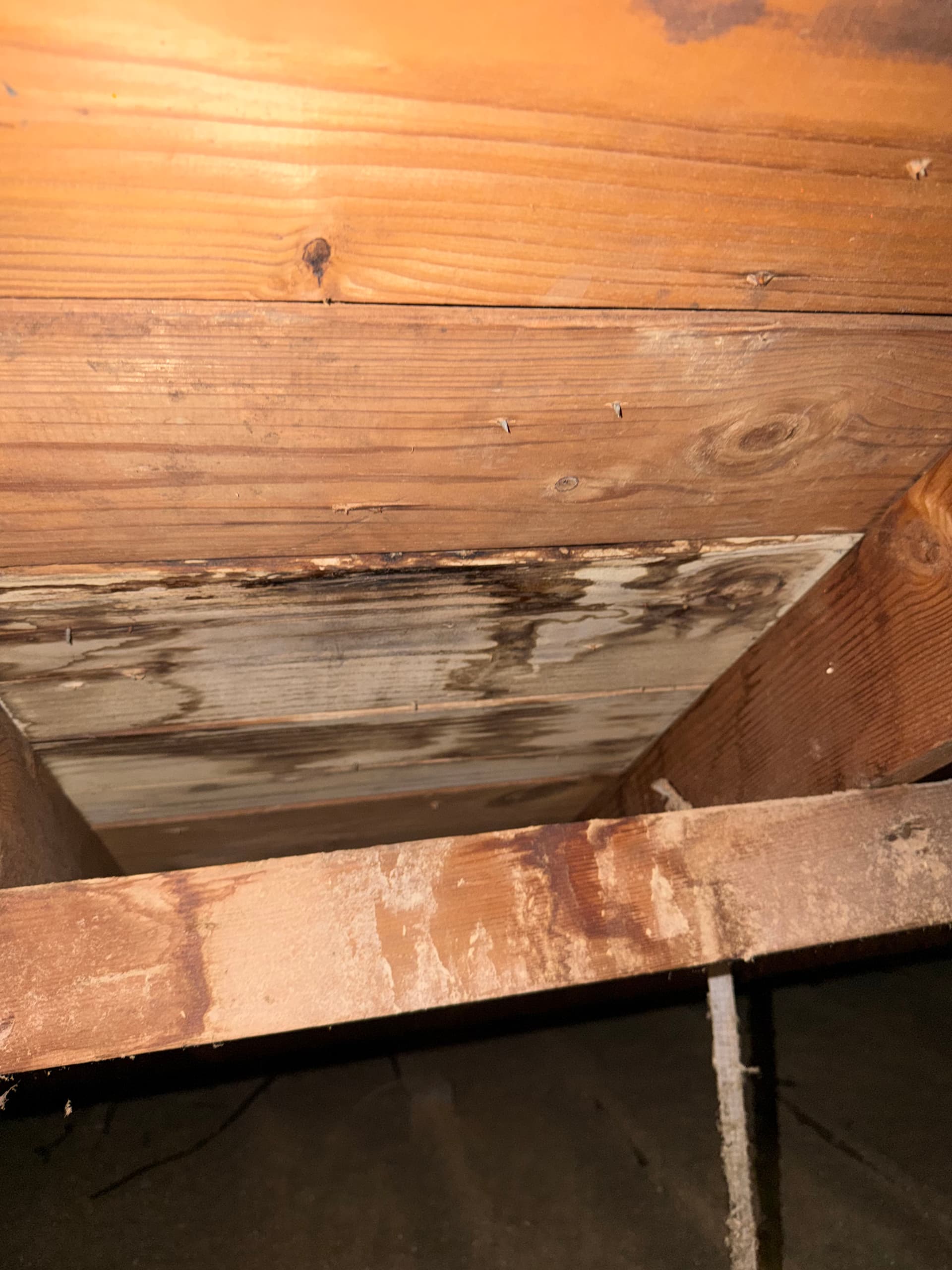 Gallery photos for What a Roof Inspection Actually Finds in Central Texas: Image #4
