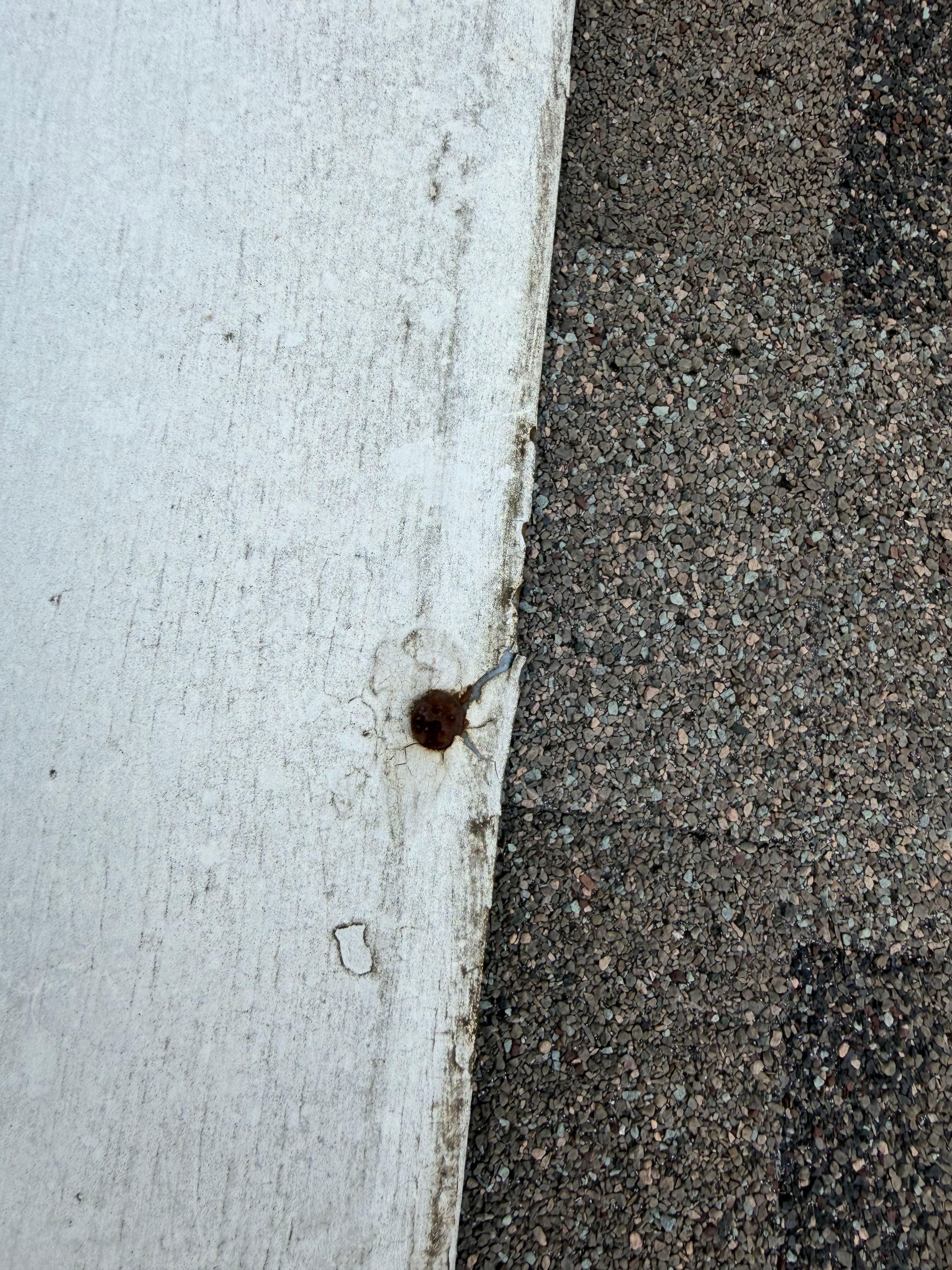 Project Exposed Nails on Your Roof Are a Leak Waiting to Happen image
