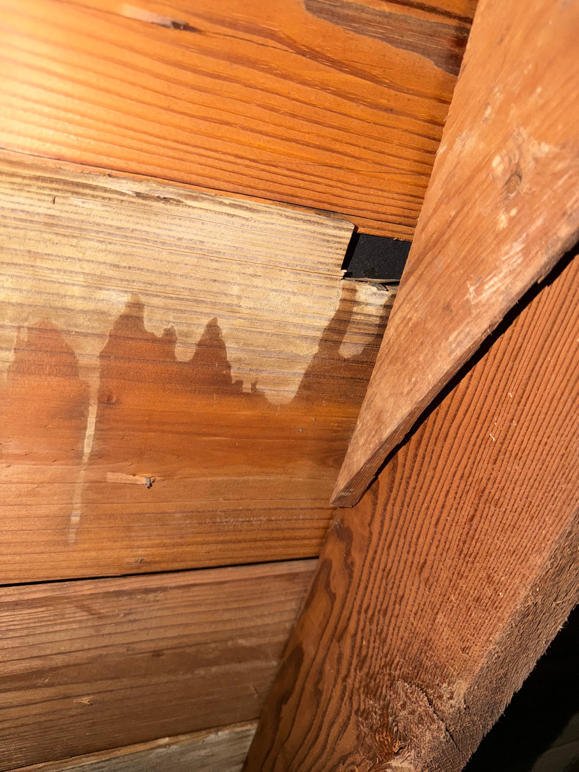 Gallery photos for What a Roof Inspection Actually Finds in Central Texas: Image #3