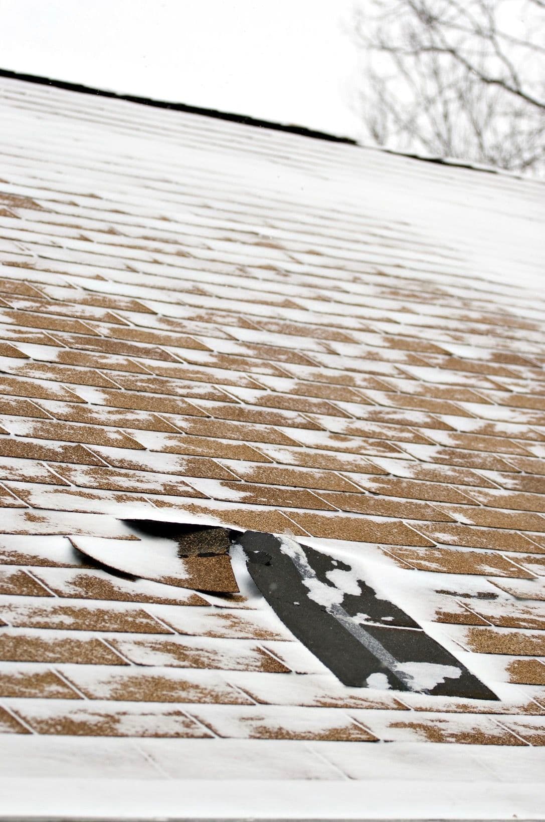 Blog post What to Do After the Ice Melts From Your Roof in Central Texas image